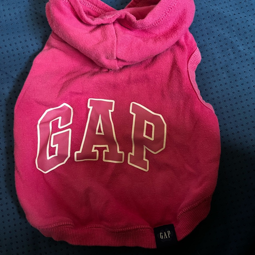 GAP Fuchsia Pet Hoodie